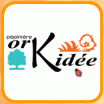 logo orkidee